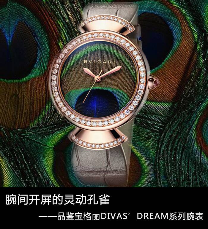 宝格丽 腕间开屏的灵动孔雀  品鉴宝格丽Divas’Dream系列腕表