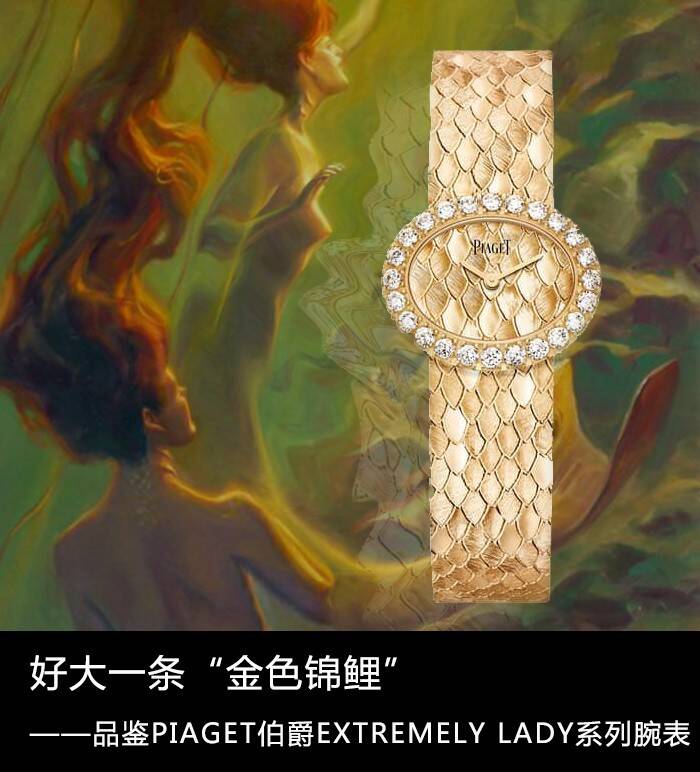 伯爵 好大一条“金色锦鲤” 品鉴PIAGET伯爵EXTREMELY LADY系列腕表