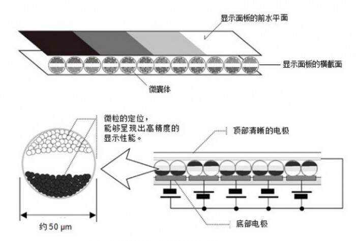 精工_精工推出E-Ink手表active matrix EPD